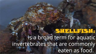 SHELLFISH:
is a broad term for aquatic
invertebrates that are commonly
eaten as food.
 