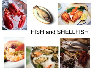 FISH and SHELLFISH
 