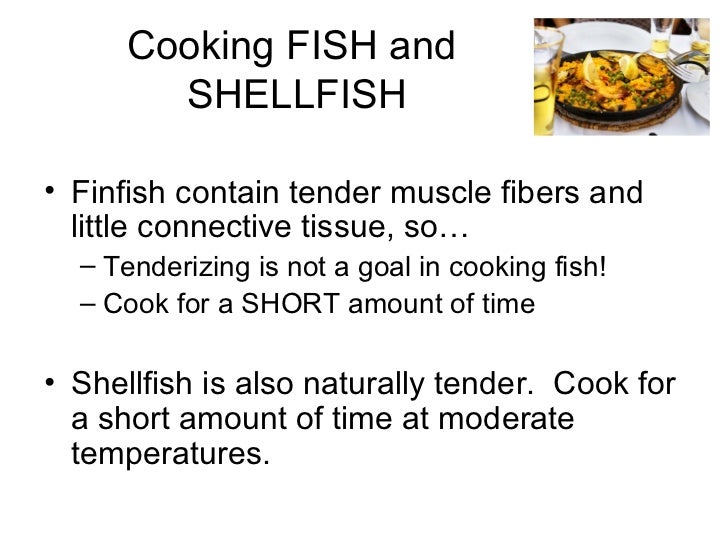 What Is The Difference Between A Shellfish And A Finfish? – GPLMMK