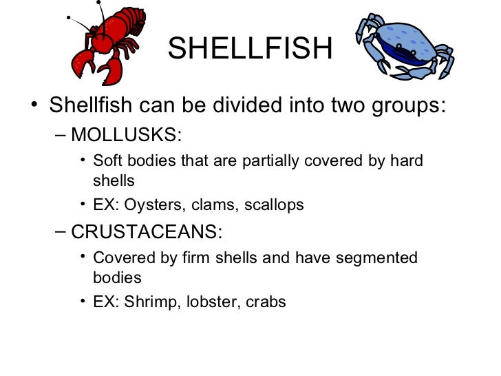 Fish and shellfish (1)