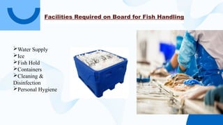 Fish Handling Sign Fish and Shimp handling on board and on shore.pptx