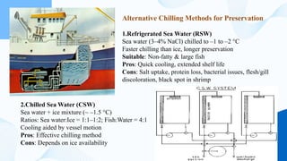 Fish and Shimp handling on board and on shore.pptx
