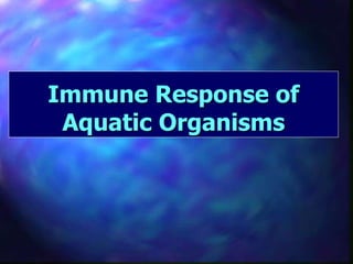 Immune Response of
Aquatic Organisms
 
