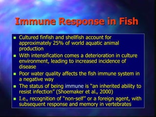 Fish and Shrimp immune response power point.ppt