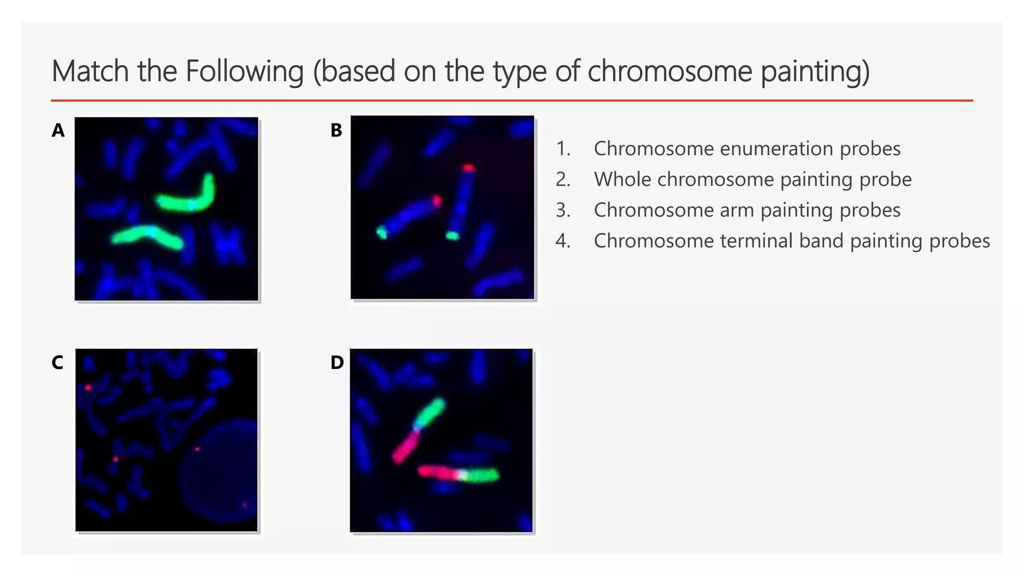 Fundamentals of Fluorescence in situ Hybridization | PPTX