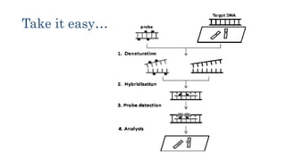 Fundamentals of Fluorescence in situ Hybridization | PPTX
