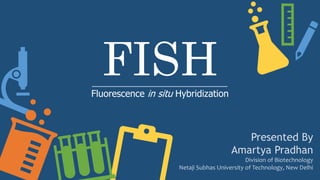 FISHFluorescence in situ Hybridization
Presented By
Amartya Pradhan
Division of Biotechnology
Netaji Subhas University of Technology, New Delhi
 