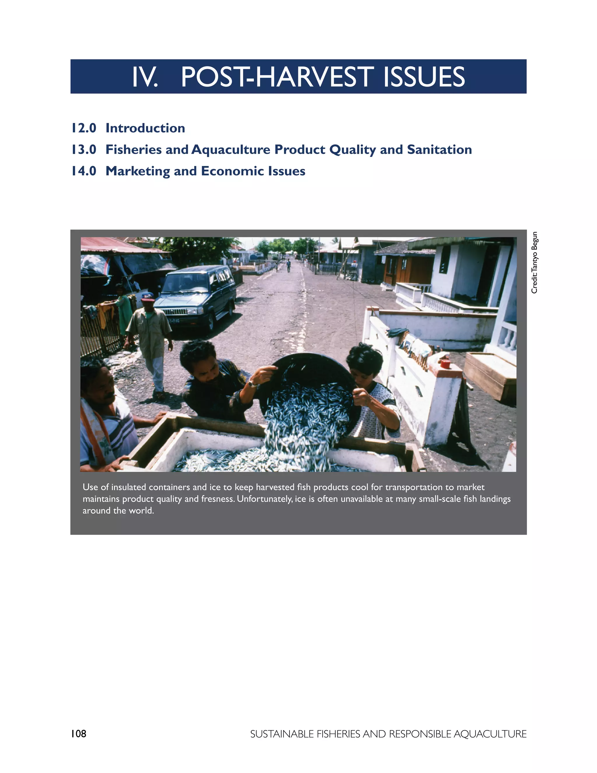 108 SUSTAINABLE FISHERIES AND RESPONSIBLE AQUACULTURE
12.0 Introduction
13.0 Fisheries and Aquaculture Product Quality and Sanitation
14.0 Marketing and Economic Issues
Use of insulated containers and ice to keep harvested fish products cool for transportation to market
maintains product quality and fresness. Unfortunately, ice is often unavailable at many small-scale fish landings
around the world.
Credit:
Tantyo
Begun
IV. POST-HARVEST ISSUES
 