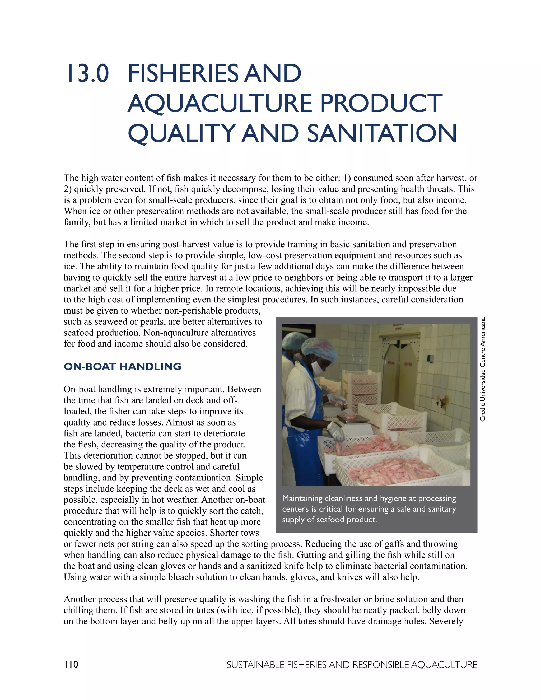 110 SUSTAINABLE FISHERIES AND RESPONSIBLE AQUACULTURE
13.0 FISHERIES AND
		 AQUACULTURE PRODUCT
		 QUALITY AND SANITATION
The high water content of fish makes it necessary for them to be either: 1) consumed soon after harvest, or
2) quickly preserved. If not, fish quickly decompose, losing their value and presenting health threats. This
is a problem even for small-scale producers, since their goal is to obtain not only food, but also income.
When ice or other preservation methods are not available, the small-scale producer still has food for the
family, but has a limited market in which to sell the product and make income.
The first step in ensuring post-harvest value is to provide training in basic sanitation and preservation
methods. The second step is to provide simple, low-cost preservation equipment and resources such as
ice. The ability to maintain food quality for just a few additional days can make the difference between
having to quickly sell the entire harvest at a low price to neighbors or being able to transport it to a larger
market and sell it for a higher price. In remote locations, achieving this will be nearly impossible due
to the high cost of implementing even the simplest procedures. In such instances, careful consideration
must be given to whether non-perishable products,
such as seaweed or pearls, are better alternatives to
seafood production. Non-aquaculture alternatives
for food and income should also be considered.
ON-BOAT HANDLING
On-boat handling is extremely important. Between
the time that fish are landed on deck and off-
loaded, the fisher can take steps to improve its
quality and reduce losses. Almost as soon as
fish are landed, bacteria can start to deteriorate
the flesh, decreasing the quality of the product.
This deterioration cannot be stopped, but it can
be slowed by temperature control and careful
handling, and by preventing contamination. Simple
steps include keeping the deck as wet and cool as
possible, especially in hot weather. Another on-boat
procedure that will help is to quickly sort the catch,
concentrating on the smaller fish that heat up more
quickly and the higher value species. Shorter tows
or fewer nets per string can also speed up the sorting process. Reducing the use of gaffs and throwing
when handling can also reduce physical damage to the fish. Gutting and gilling the fish while still on
the boat and using clean gloves or hands and a sanitized knife help to eliminate bacterial contamination.
Using water with a simple bleach solution to clean hands, gloves, and knives will also help.
Another process that will preserve quality is washing the fish in a freshwater or brine solution and then
chilling them. If fish are stored in totes (with ice, if possible), they should be neatly packed, belly down
on the bottom layer and belly up on all the upper layers. All totes should have drainage holes. Severely
Credit:
Universidad
Centro
Americana
Maintaining cleanliness and hygiene at processing
centers is critical for ensuring a safe and sanitary
supply of seafood product.
 