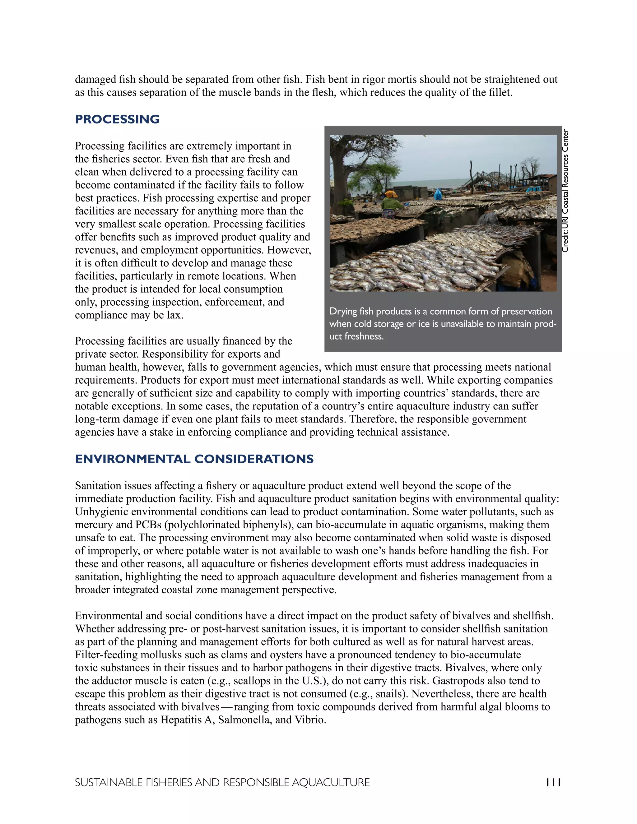 111
SUSTAINABLE FISHERIES AND RESPONSIBLE AQUACULTURE
damaged fish should be separated from other fish. Fish bent in rigor mortis should not be straightened out
as this causes separation of the muscle bands in the flesh, which reduces the quality of the fillet.
PROCESSING
Processing facilities are extremely important in
the fisheries sector. Even fish that are fresh and
clean when delivered to a processing facility can
become contaminated if the facility fails to follow
best practices. Fish processing expertise and proper
facilities are necessary for anything more than the
very smallest scale operation. Processing facilities
offer benefits such as improved product quality and
revenues, and employment opportunities. However,
it is often difficult to develop and manage these
facilities, particularly in remote locations. When
the product is intended for local consumption
only, processing inspection, enforcement, and
compliance may be lax.
Processing facilities are usually financed by the
private sector. Responsibility for exports and
human health, however, falls to government agencies, which must ensure that processing meets national
requirements. Products for export must meet international standards as well. While exporting companies
are generally of sufficient size and capability to comply with importing countries’ standards, there are
notable exceptions. In some cases, the reputation of a country’s entire aquaculture industry can suffer
long-term damage if even one plant fails to meet standards. Therefore, the responsible government
agencies have a stake in enforcing compliance and providing technical assistance.
ENVIRONMENTAL CONSIDERATIONS
Sanitation issues affecting a fishery or aquaculture product extend well beyond the scope of the
immediate production facility. Fish and aquaculture product sanitation begins with environmental quality:
Unhygienic environmental conditions can lead to product contamination. Some water pollutants, such as
mercury and PCBs (polychlorinated biphenyls), can bio-accumulate in aquatic organisms, making them
unsafe to eat. The processing environment may also become contaminated when solid waste is disposed
of improperly, or where potable water is not available to wash one’s hands before handling the fish. For
these and other reasons, all aquaculture or fisheries development efforts must address inadequacies in
sanitation, highlighting the need to approach aquaculture development and fisheries management from a
broader integrated coastal zone management perspective.
Environmental and social conditions have a direct impact on the product safety of bivalves and shellfish.
Whether addressing pre- or post-harvest sanitation issues, it is important to consider shellfish sanitation
as part of the planning and management efforts for both cultured as well as for natural harvest areas.
Filter-feeding mollusks such as clams and oysters have a pronounced tendency to bio-accumulate
toxic substances in their tissues and to harbor pathogens in their digestive tracts. Bivalves, where only
the adductor muscle is eaten (e.g., scallops in the U.S.), do not carry this risk. Gastropods also tend to
escape this problem as their digestive tract is not consumed (e.g., snails). Nevertheless, there are health
threats associated with bivalves—ranging from toxic compounds derived from harmful algal blooms to
pathogens such as Hepatitis A, Salmonella, and Vibrio.
Drying fish products is a common form of preservation
when cold storage or ice is unavailable to maintain prod-
uct freshness.
Credit:
URI
Coastal
Resources
Center
 