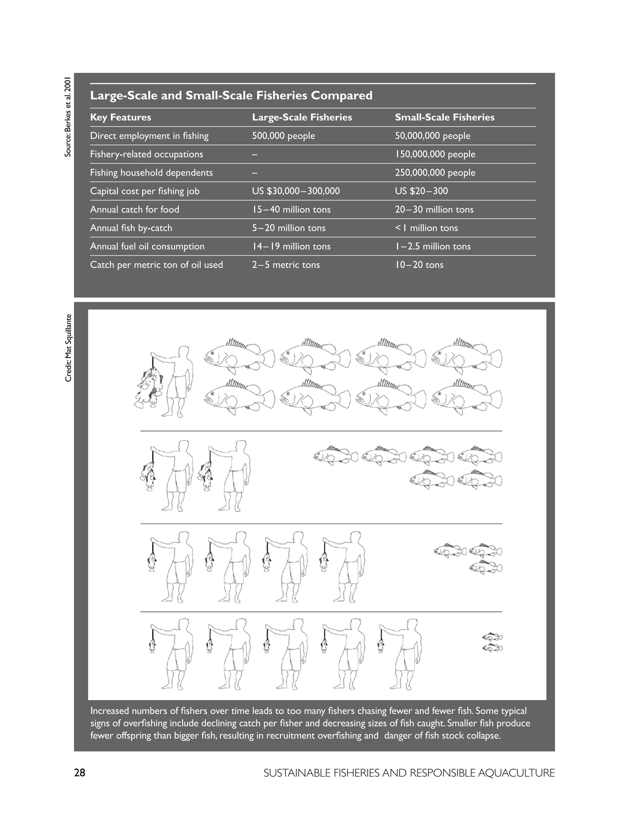 28 SUSTAINABLE FISHERIES AND RESPONSIBLE AQUACULTURE
Large-Scale and Small-Scale Fisheries Compared
Key Features Large-Scale Fisheries Small-Scale Fisheries
Direct employment in fishing 500,000 people 50,000,000 people
Fishery-related occupations – 150,000,000 people
Fishing household dependents – 250,000,000 people
Capital cost per fishing job US $30,000–300,000 US $20–300
Annual catch for food 15–40 million tons 20–30 million tons
Annual fish by-catch 5–20 million tons <1 million tons
Annual fuel oil consumption 14–19 million tons 1–2.5 million tons
Catch per metric ton of oil used 2–5 metric tons 10–20 tons
Increased numbers of fishers over time leads to too many fishers chasing fewer and fewer fish. Some typical
signs of overfishing include declining catch per fisher and decreasing sizes of fish caught. Smaller fish produce
fewer offspring than bigger fish, resulting in recruitment overfishing and danger of fish stock collapse.
Credit:
Mat
Squillante
Source:
Berkes
et
al.
2001
 