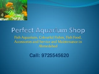 Fish Aquarium, Colourful Fishes, Fish Food,
Accessories and Service and Maintenance in
Ahmedabad
Call: 9725545620
 