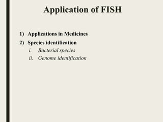 Application of FISH
1) Applications in Medicines
2) Species identification
i. Bacterial species
ii. Genome identification
 