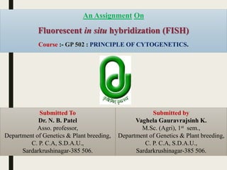 An Assignment On
Fluorescent in situ hybridization (FISH)
Course :- GP 502 : PRINCIPLE OF CYTOGENETICS.
Submitted To
Dr. N. B. Patel
Asso. professor,
Department of Genetics & Plant breeding,
C. P. C.A, S.D.A.U.,
Sardarkrushinagar-385 506.
Submitted by
Vaghela Gauravrajsinh K.
M.Sc. (Agri), 1st sem.,
Department of Genetics & Plant breeding,
C. P. C.A, S.D.A.U.,
Sardarkrushinagar-385 506.
 