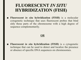 FLUORESCENT IN SITU
HYBRIDIZATION (FISH)
■ Fluorescent in situ hybridization (FISH) is a molecular
cytogenetic technique that uses fluorescent probes that bind
only those parts of the chromosome with a high degree of
sequence complementarily.
OR
■ Fluorescent in situ hybridization (FISH) is a cytogenetic
technique that can be used to detect and localize the presence
or absence of specific DNA sequences on chromosomes.
 