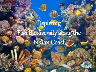 Depleting
Fish Biodiversity along the
Indian Coast
 