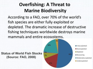 Overfishing: A Threat to
Marine Biodiversity
According to a FAO, over 70% of the world’s
fish species are either fully exploited or
depleted. The dramatic increase of destructive
fishing techniques worldwide destroys marine
mammals and entire ecosystems.
Status of World Fish Stocks
(Source: FAO, 2008)
 