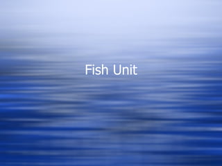Fish Unit 