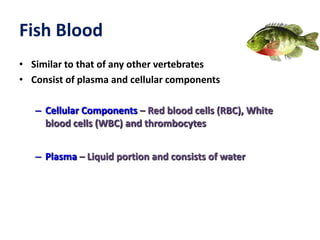 Fish Blood
• Similar to that of any other vertebrates
• Consist of plasma and cellular components
– Cellular Components – Red blood cells (RBC), White
blood cells (WBC) and thrombocytes
– Plasma – Liquid portion and consists of water
 