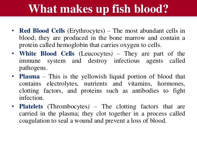 Fish blood
