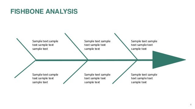 fish bone analysis slides