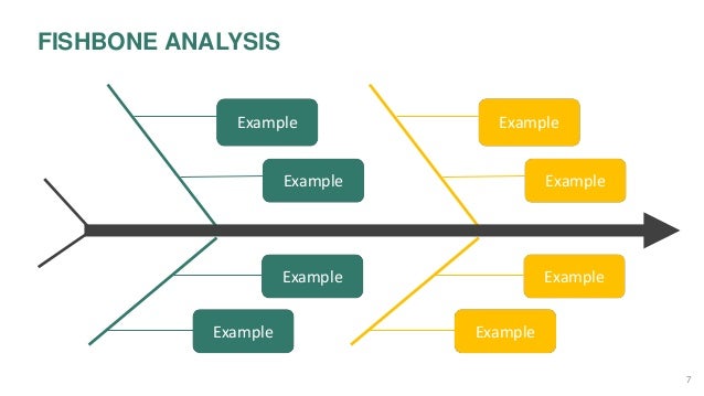 Fish bone analysis slides