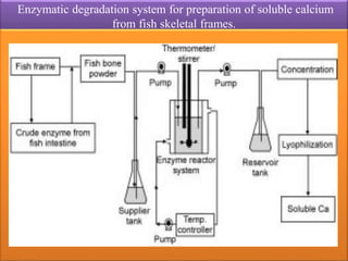 Enzymatic degradation system for preparation of soluble calcium
from fish skeletal frames.
 
