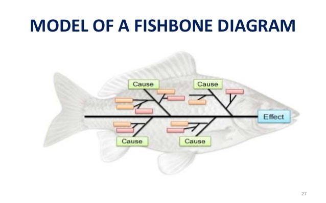 fish bone diagram a problem solving tool fish diagram