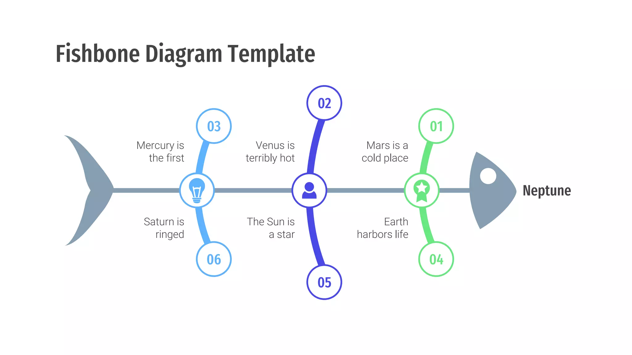 Fishbone Diagrams.pptx