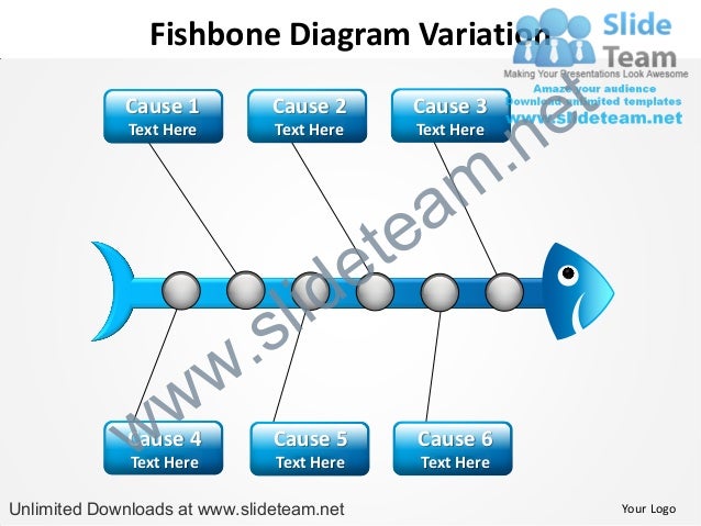 fishbone diagram ppt