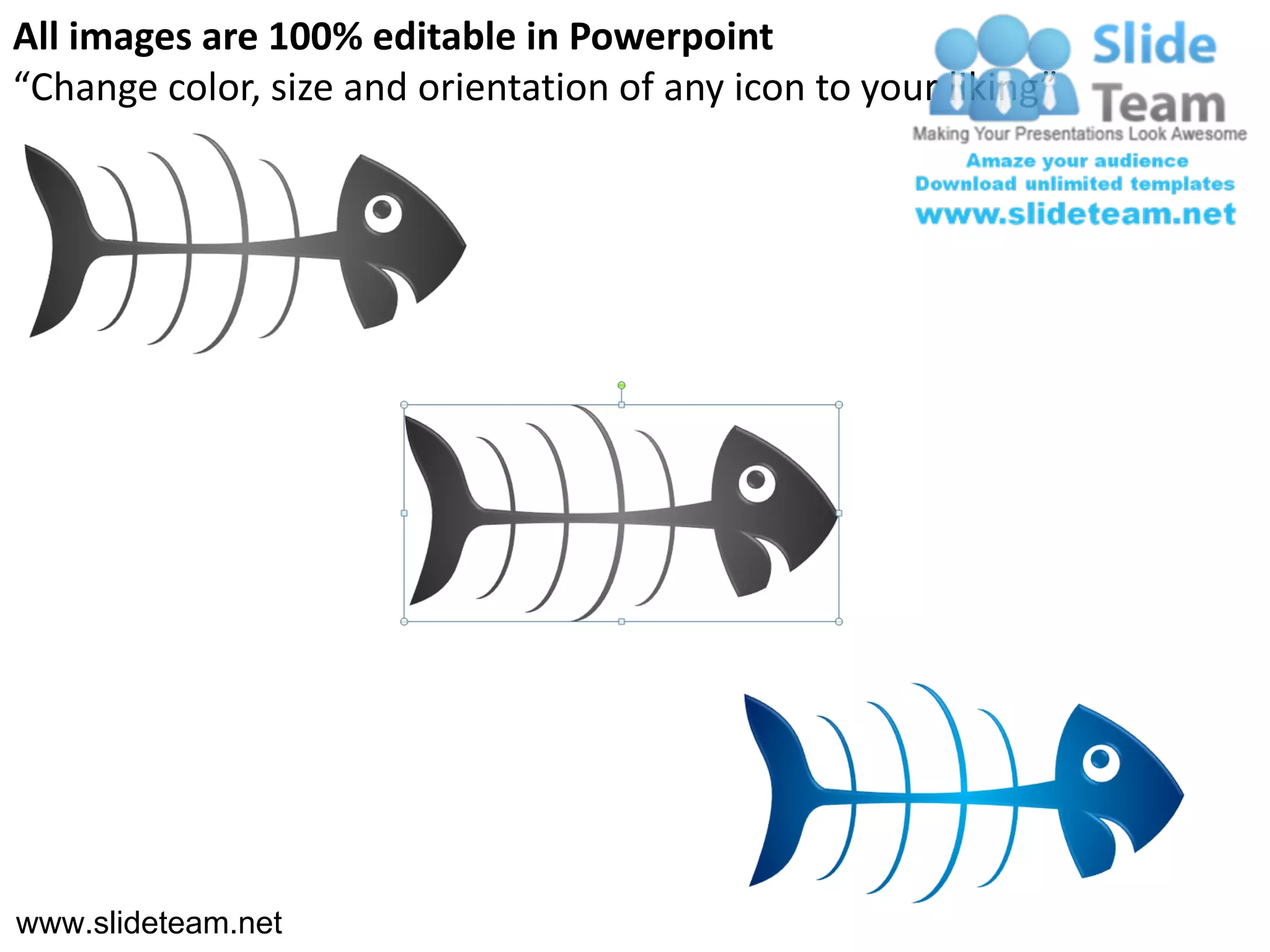 All images are 100% editable in Powerpoint
“Change color, size and orientation of any icon to your liking”




www.slideteam.net
 