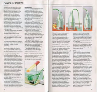 Fish breeding by dr chris andrews