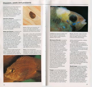 Fish breeding by dr chris andrews