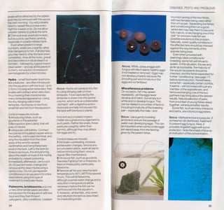 Fish breeding by dr chris andrews