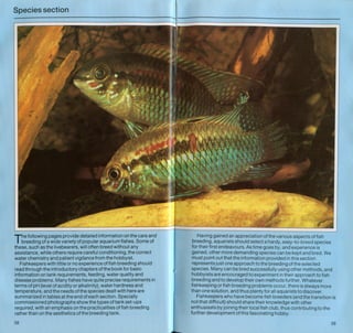 Fish breeding by dr chris andrews