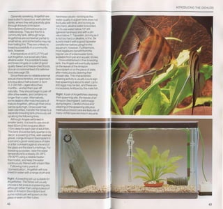 Fish breeding by dr chris andrews