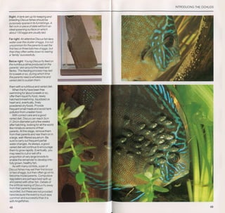 Fish breeding by dr chris andrews