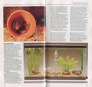 Fish breeding by dr chris andrews