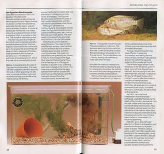 Fish breeding by dr chris andrews