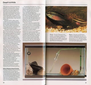 Fish breeding by dr chris andrews