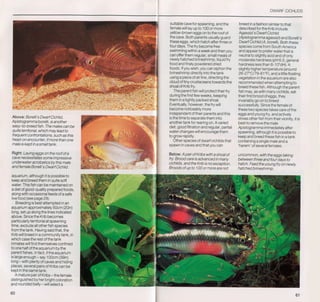 Fish breeding by dr chris andrews