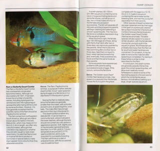 Fish breeding by dr chris andrews