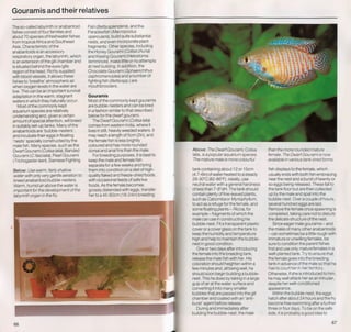 Fish breeding by dr chris andrews