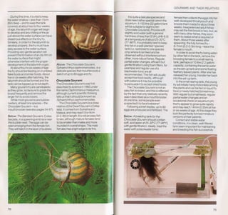 Fish breeding by dr chris andrews