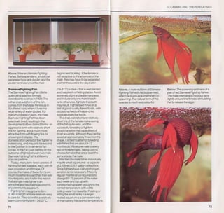 Fish breeding by dr chris andrews