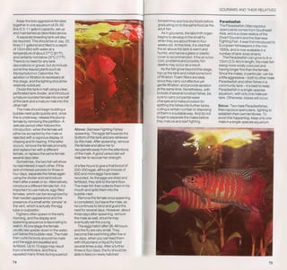 Fish breeding by dr chris andrews