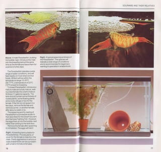 Fish breeding by dr chris andrews