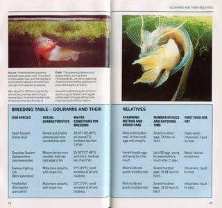 Fish breeding by dr chris andrews