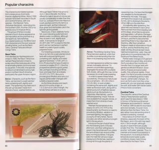 Fish breeding by dr chris andrews