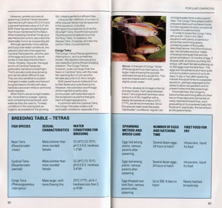 Fish breeding by dr chris andrews